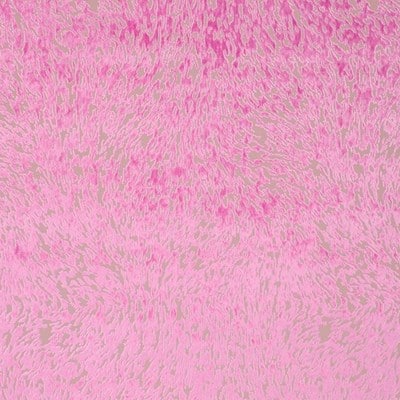 Bezugsstoffe-Gemustert-Torlonia-Designers-Guild