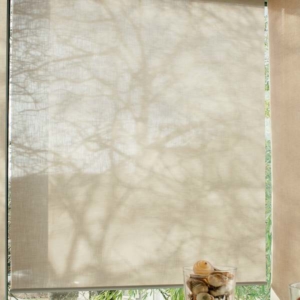 Rollo transparent Creation Baumann
