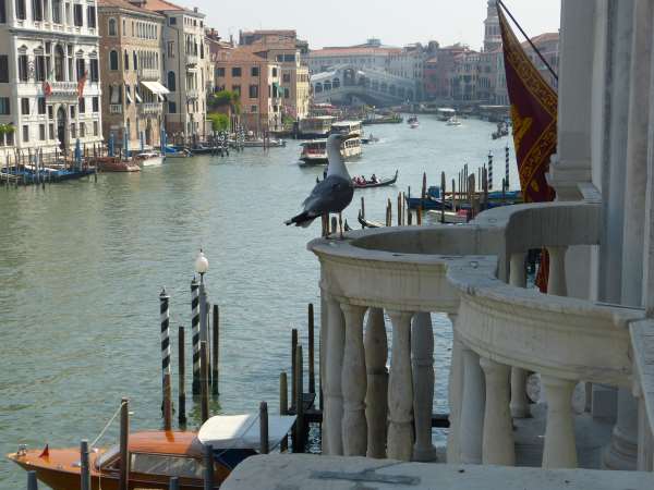 Rubelli Venezia Showroom