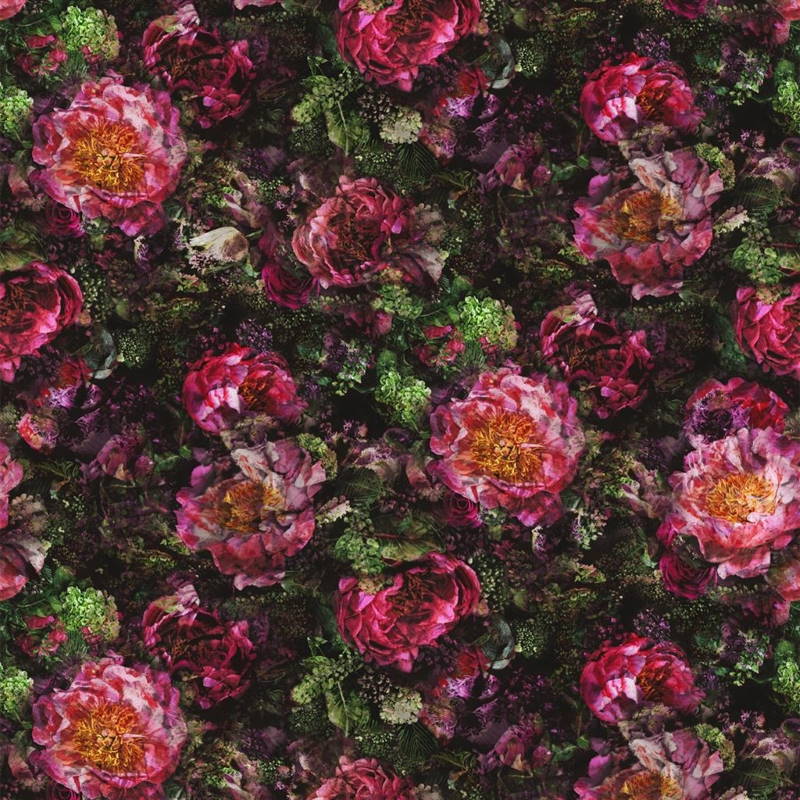 Bezugsstoff-Blumen-Romaunt Rose Fuchsia Designers-Guild