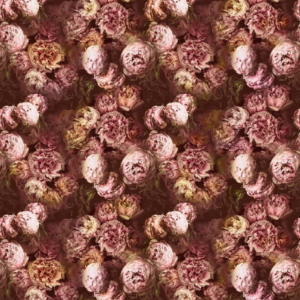 Bezugsstoff-Blumen-Vespertina Sepia Designers-Guild