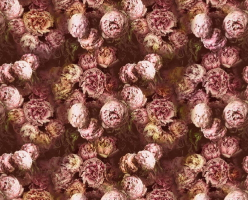 Bezugsstoff-Blumen-Vespertina Sepia Designers-Guild