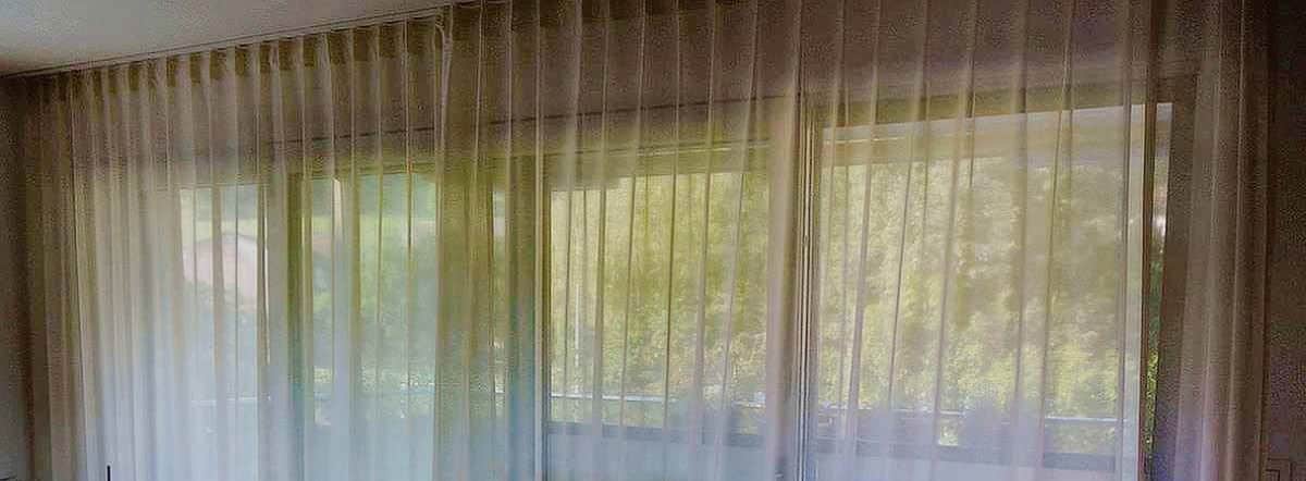 Gardinen transparent Scene1
