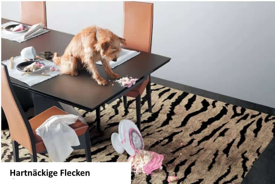 Outdoorteppich Perennials Reinigung 2