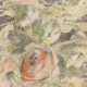 Vorhangstoff Blumen Roser 04 Yutes